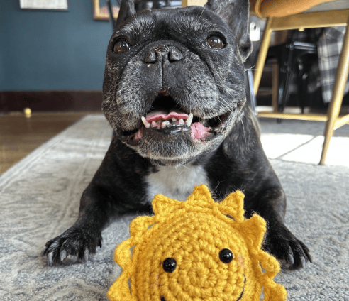 Quality Heating & Cooling dog mascot.